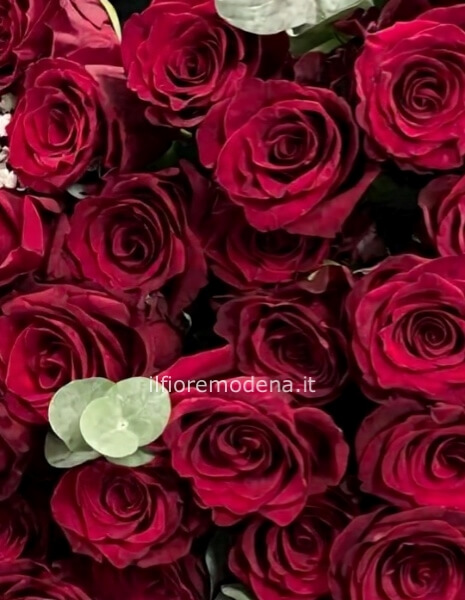 24 rose rosse